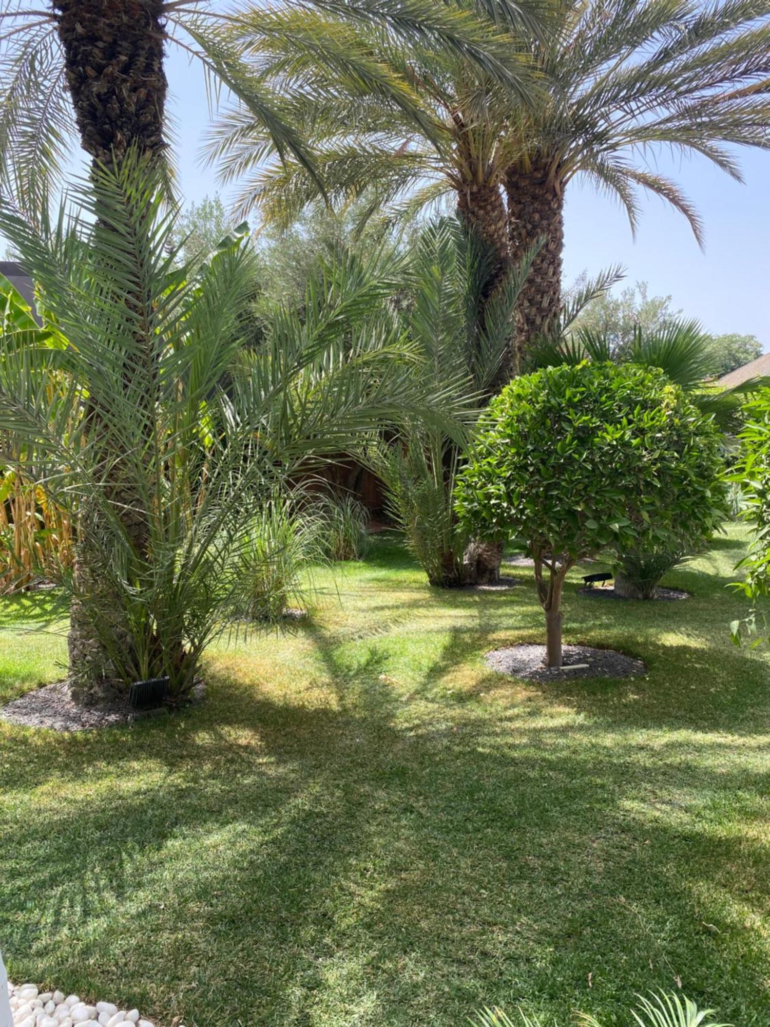 Villa Mano Lagouassem Exterior foto