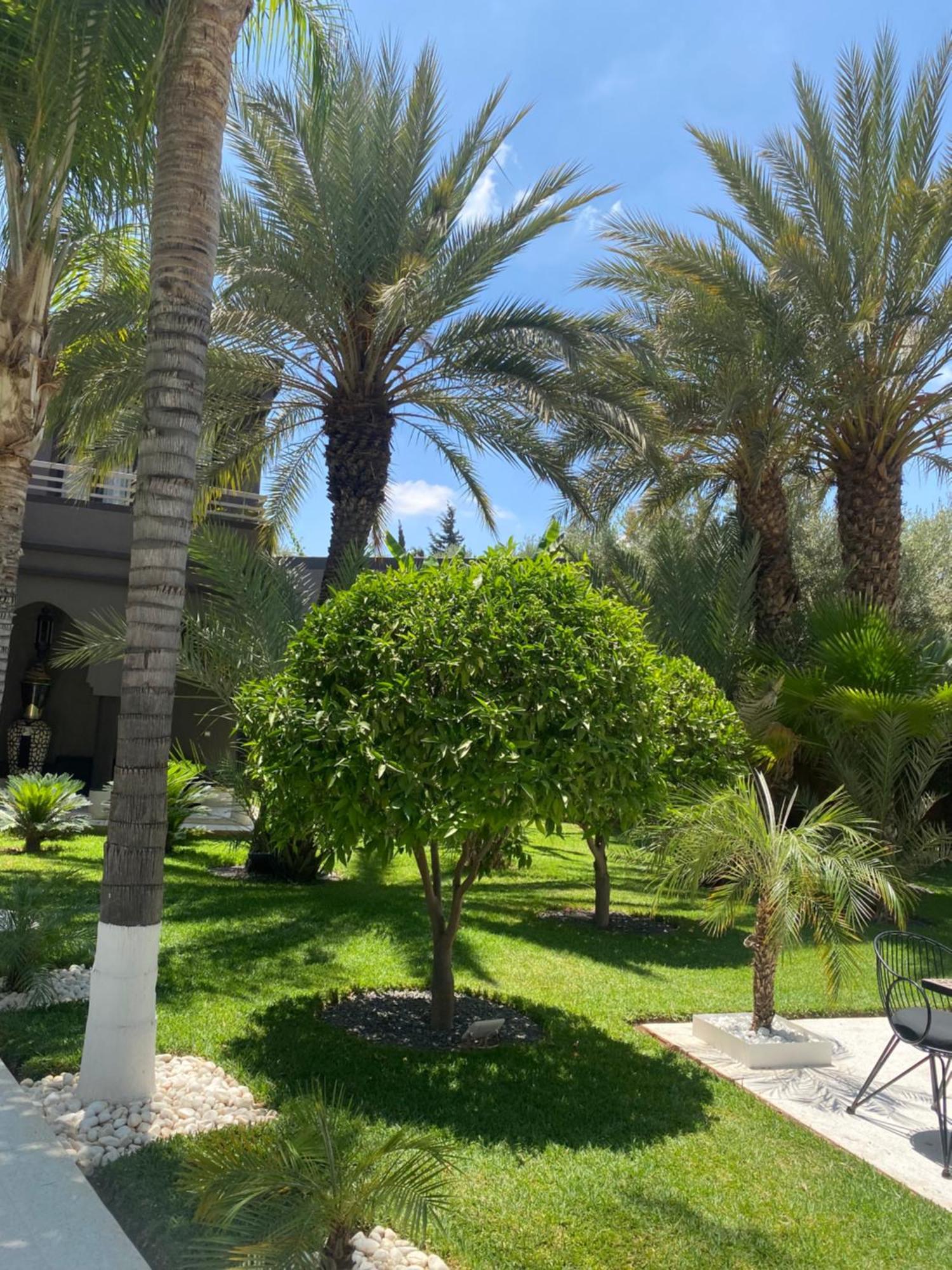 Villa Mano Lagouassem Exterior foto